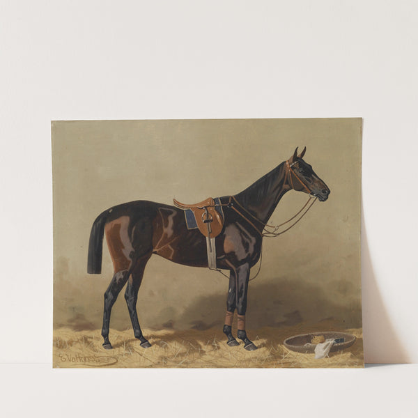 Gesatteltes Sportpferd (1895) by Emil Volkers