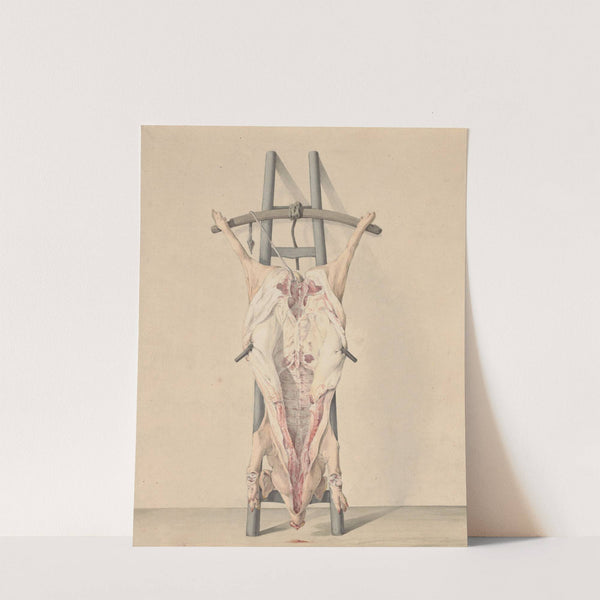 Geslacht varken by Jean Bernard