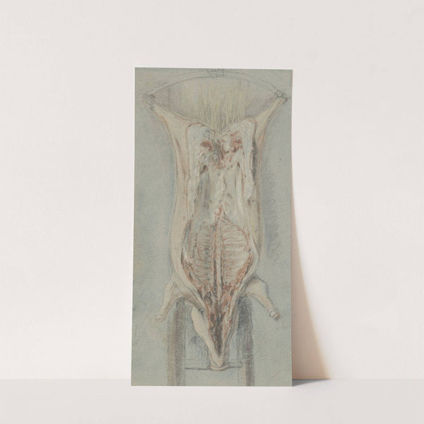 Geslacht varken op een leer (c. 1710 - 1757) by Jean Siméon Chardin