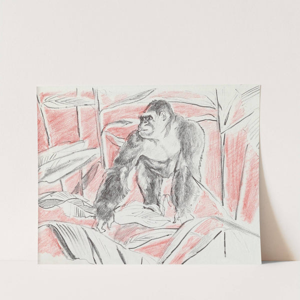 Getting to Know Africa's French Community pl12 by Haris Petie