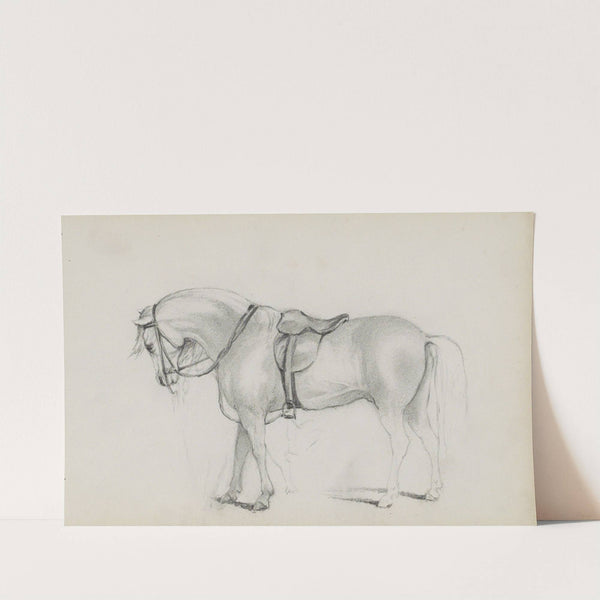 Gezadeld paard (1880) by Marius Bauer