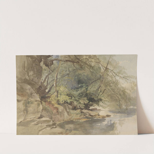 Gezicht in Stapleton Wood, bij Bristol by William James Müller