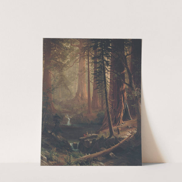 Giant Redwood Trees of California (1874) by Albert Bierstadt