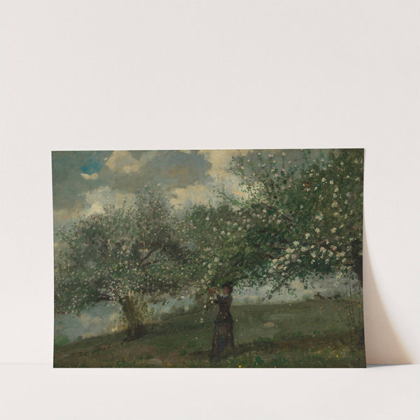 Girl Picking Apple Blossoms by Winslow Homer