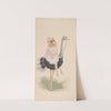 Girls on Ostriches by Will R. Barnes