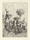 Gladiola Garden; poems of outdoors and indoors for second grade readers Pl.21