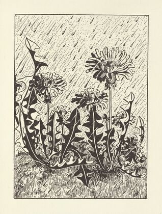 Gladiola Garden; poems of outdoors and indoors for second grade readers Pl.21
