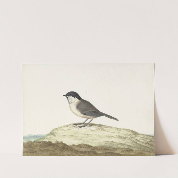 Glanskop by Johannes van Bronckhorst