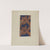 Glazed Chintz by Florence Stevenson