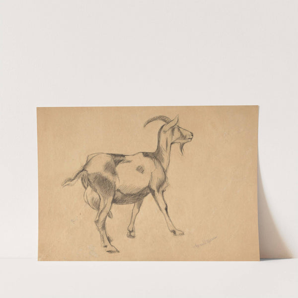 Goat (1897) by Hans Thoma