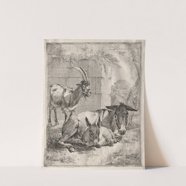 Goat and Donkeys by Johann Heinrich Roos
