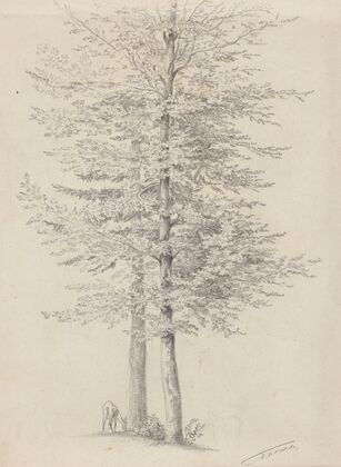 Goat Grazing near Two Trees (1858)