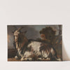 Goat Lying Down by Jan Baptist Weenix