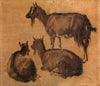 Goats
