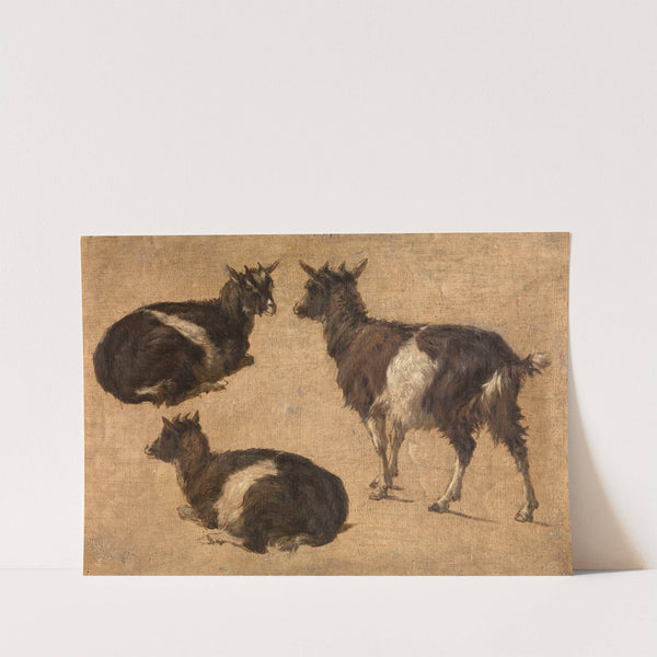 Goats by Andre Plumot