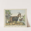 Goats (1829-1880) by Joseph Scholz