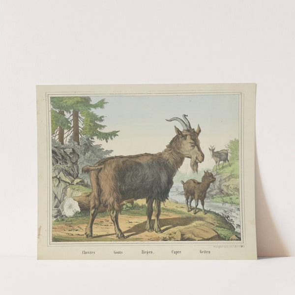 Goats (1829-1880) by Joseph Scholz
