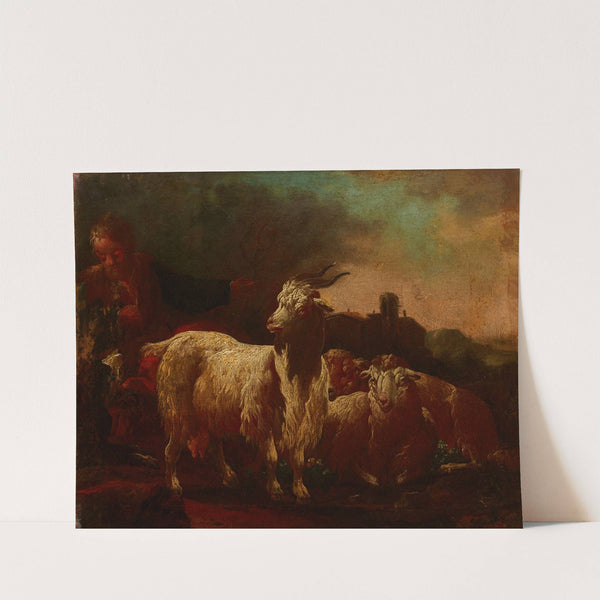 Goats and Sheep by Philipp Peter Roos