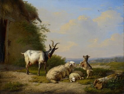 Goats and Sheep