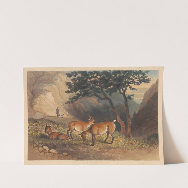 Goats in Glencoe (1836) by Newton Limbird Smith Fielding