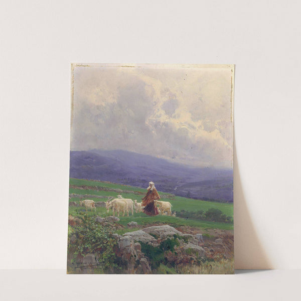 Goats in the Pasture, Anticoli Corrado by Mariano Barbasán