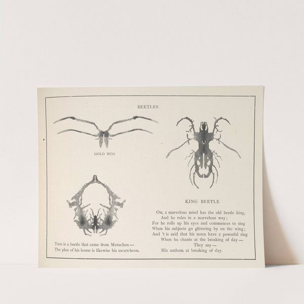 Gobolinks or shadow-pictures for young and old Pl.64 by Ruth McEnery Stuart