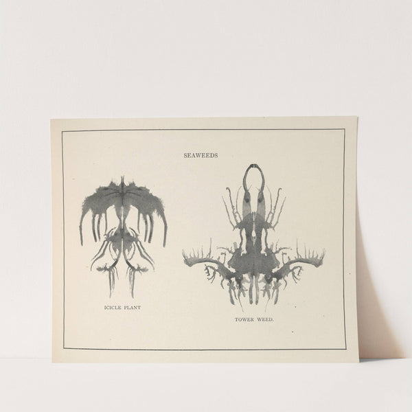 Gobolinks or shadow-pictures for young and old Pl.70 by Ruth McEnery Stuart