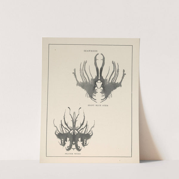 Gobolinks or shadow-pictures for young and old Pl.71 by Ruth McEnery Stuart