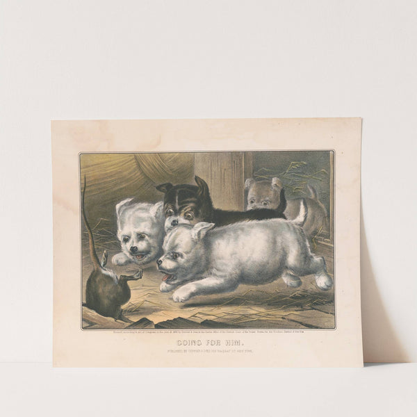 Going for him (1868) by John Cameron