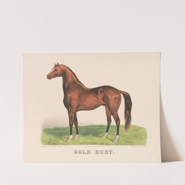 Gold dust (1875) by John Cameron