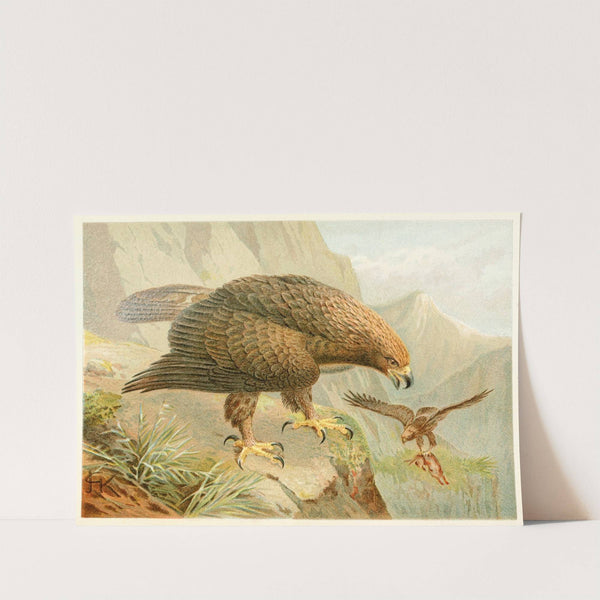 Golden Eagle by Anonymous