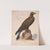 Golden eagle (1872) by Louis Prang & Co.