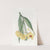 Golden-flowered Dendrobium by Sydenham Edwards