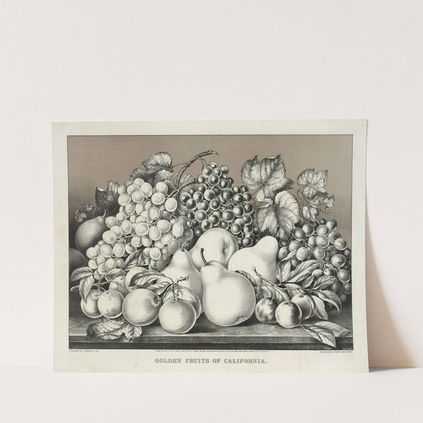 Golden fruits of California (1869) by Currier & Ives.