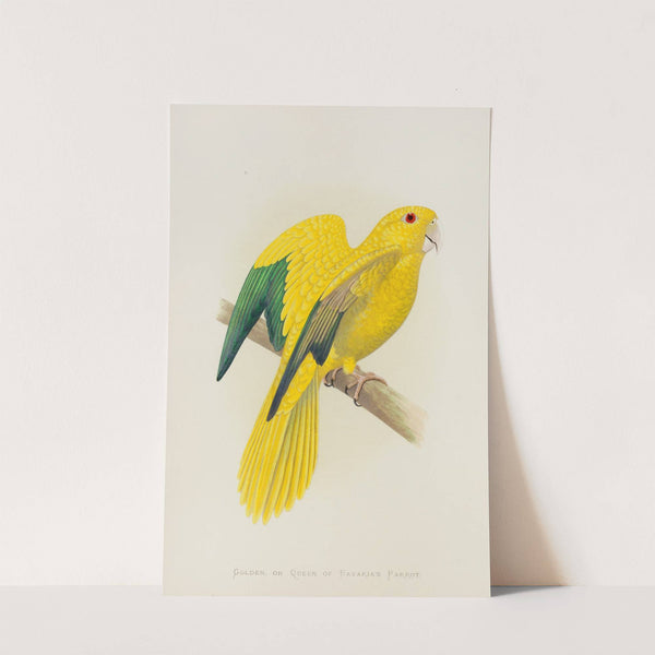 Golden, or Queen of Bavaria’s Parrot (1884-1887) by Alexander Francis Lydon