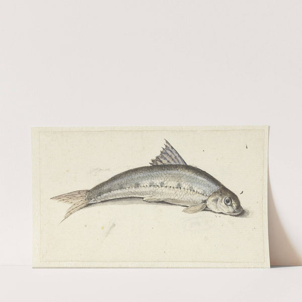 Gondel (1739 - 1812) by Johannes le Francq van Berkhey