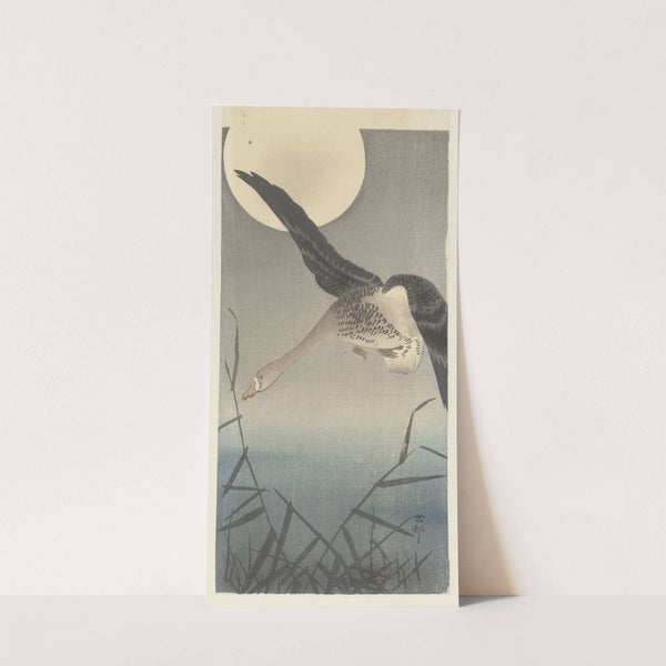 Goose by Ohara Koson
