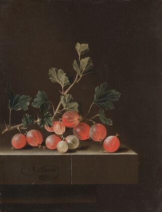 Gooseberries on a Table — size preview
