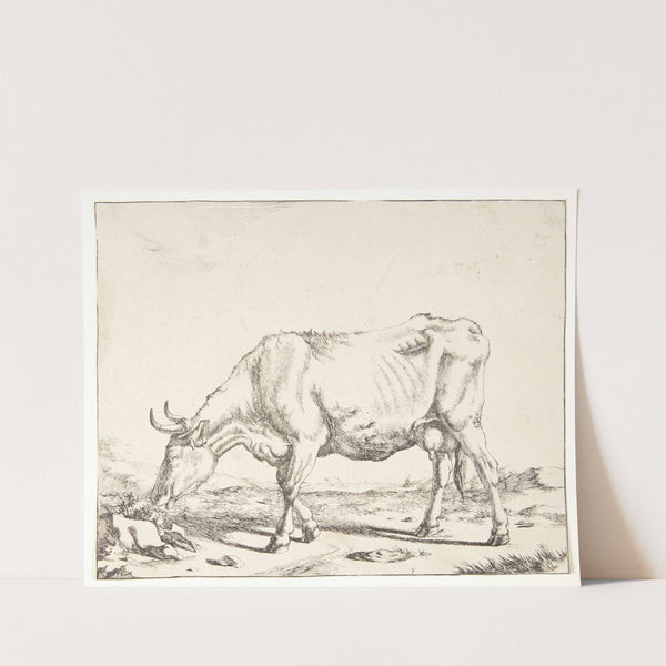 Græssende ko by Marcus de Bye