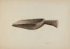 Grain Scoop