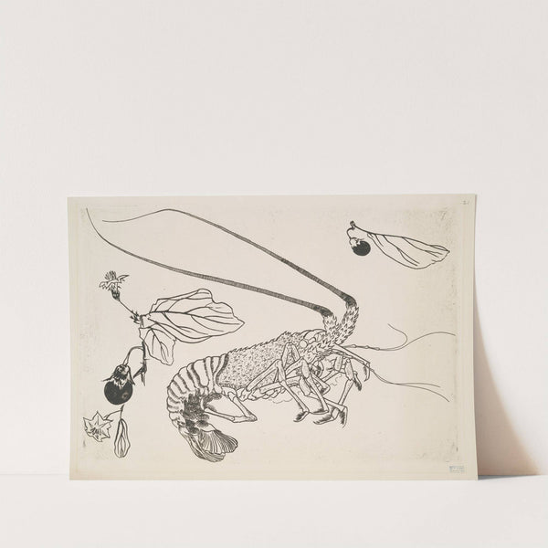 Grand langouste aux antennes relevées (1866) by Félix Bracquemond