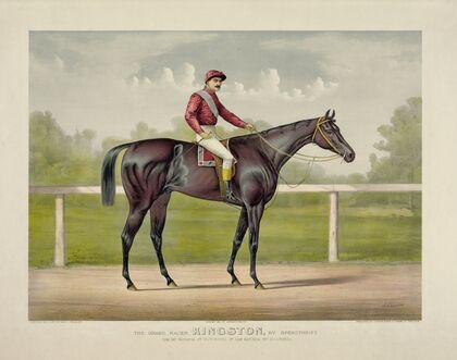 Grand racer Kingston, by Spendthrift; dam imp. Kapanga, by Victorious, 2nd dam Kapunda, by Stockwell (1891)