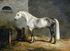 Granit