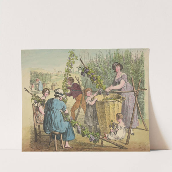 Grape harvest by Denis Dighton