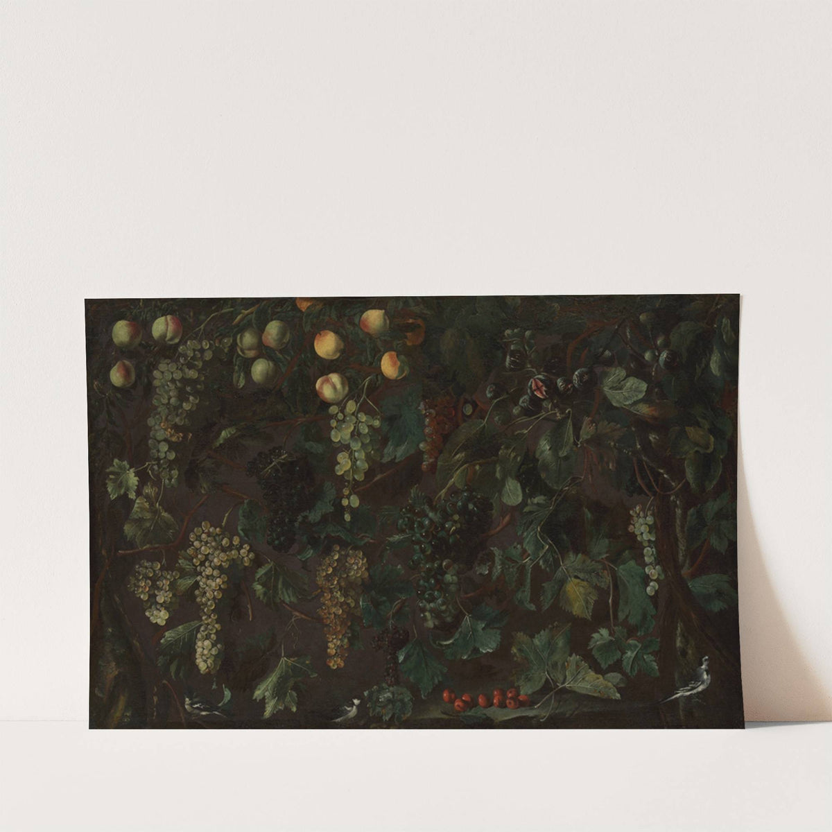 Grape Vines and Fruit, with Three Wagtails by Bartolomeo Cavarozzi