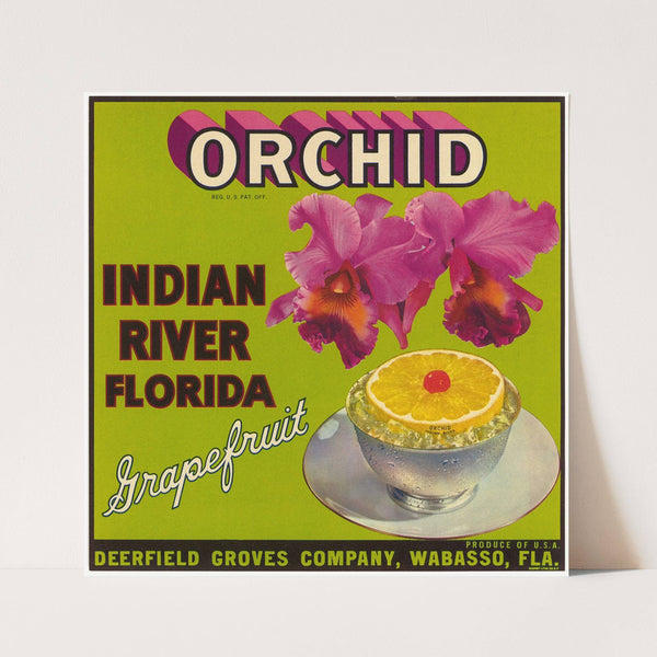 Grapefruit Label for Orchid (1930-1950)
