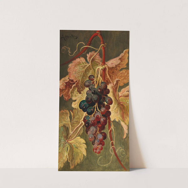 Grapes by Ludwig Adam Kunz