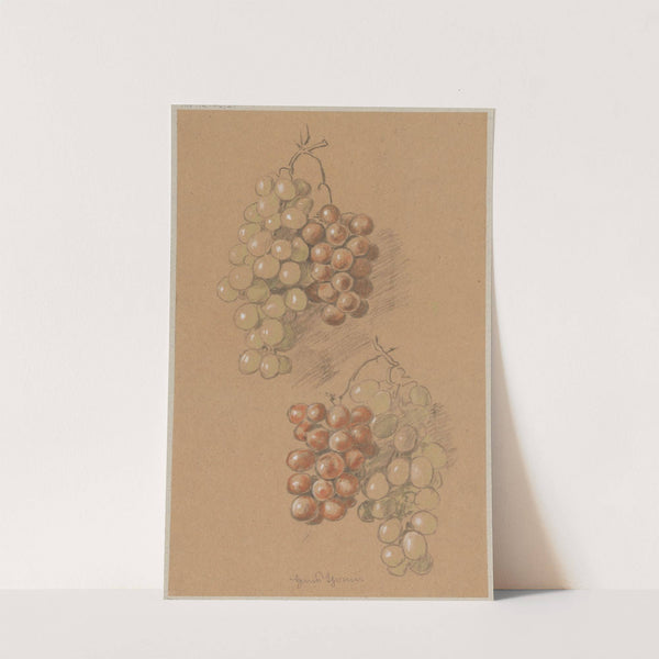 Grapes (1890) by Hans Thoma