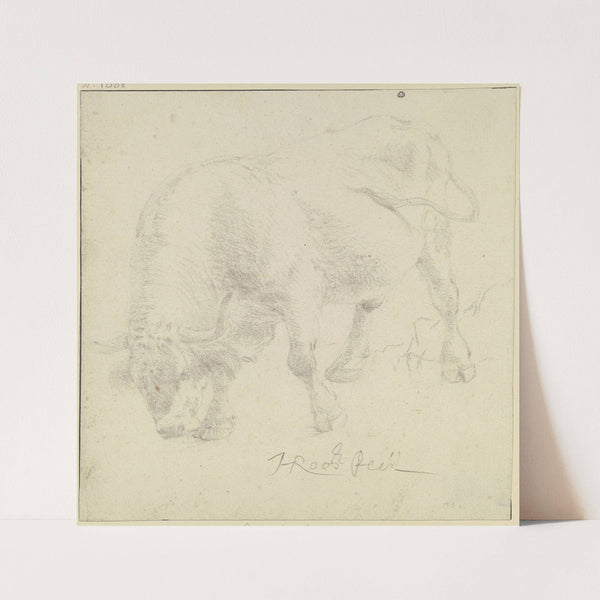 Grasender Faselochse nach links by Johann Heinrich Roos