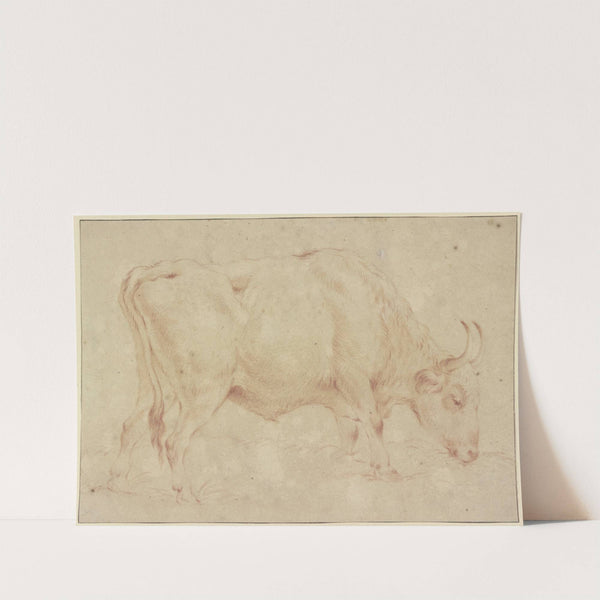 Grasender Stier nach rechts by Johann Heinrich Roos